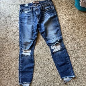 Joes Jeans The Blondie Ankle 27